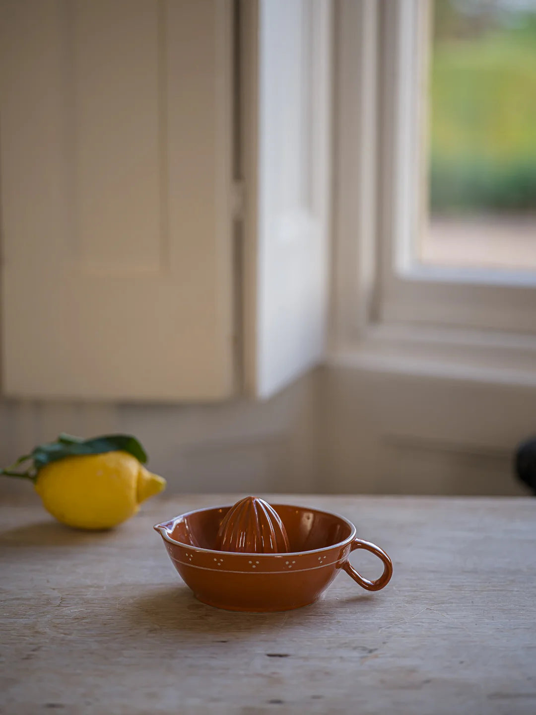 Juicer | Terracotta | The Breakfast Collection