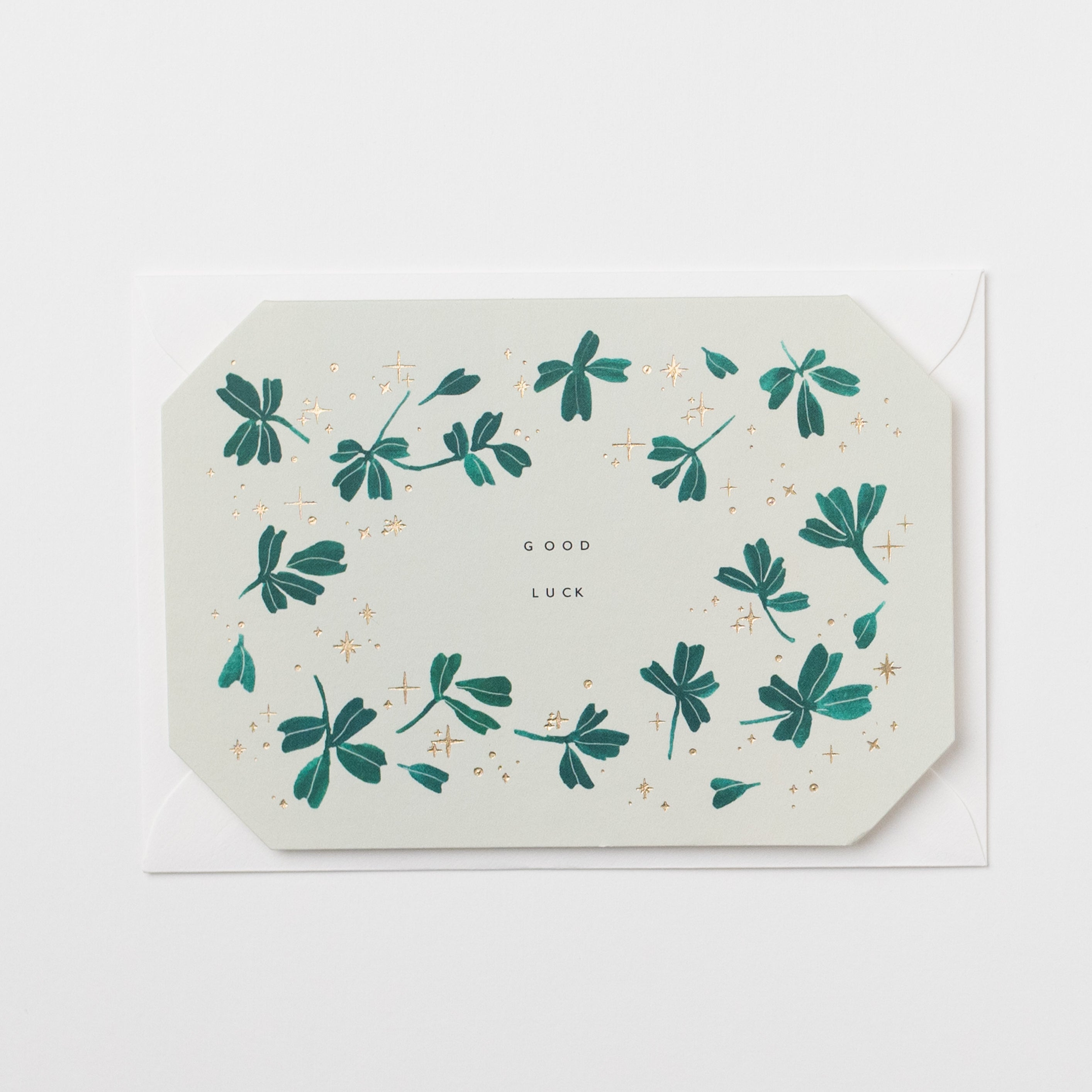 Good Luck Greetings Card